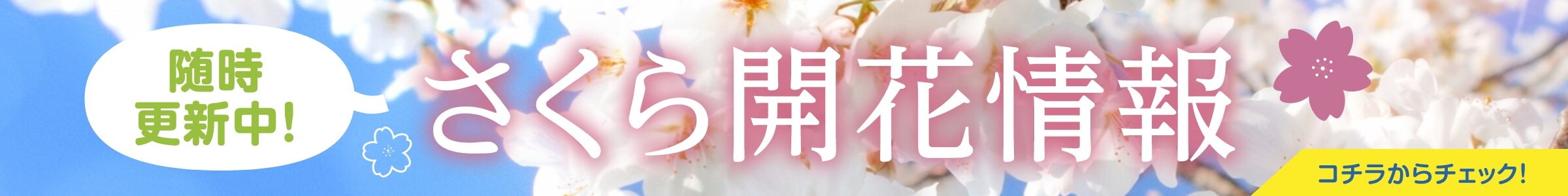 桜開花情報へのリンクバナー
