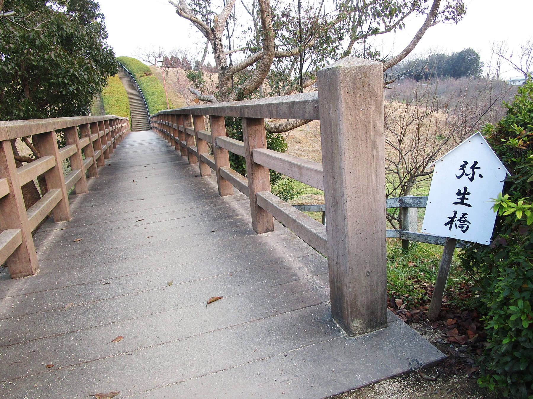 弥生橋の写真